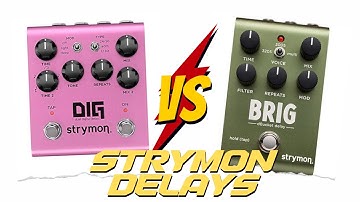DIG or BRIG ? | 2 Great Strymon Delays Compared