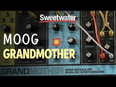 Moog Grandmother Quick Look by Sweetwater