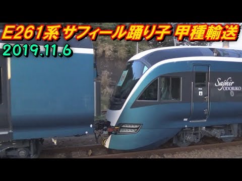 E261系 サフィール踊り子 甲種輸送 JR函南駅･JR平塚駅にて 2019.11.6