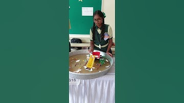 RIVER CLEANING MACHINE #scienceandfun #basicscience #diy #scienceexhibition @bescientific