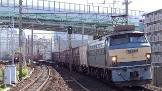 JR貨物 EF66-52 貨物列車 (5091レ 復活 ゼロロク) JR東海道本線 尾頭橋駅