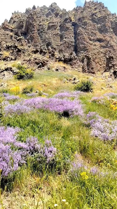 Armenia Aragatsotn Ara ler Армения Арагацотн Ара лер Ծաղկեվանք #shorts ...