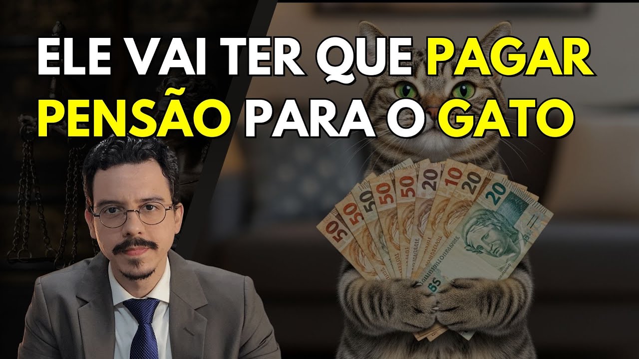 Homem é CONDENADO a pagar PENSÃO para GATO
