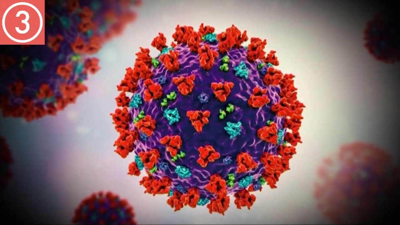 First case of Omicron variant of COVID-19 detected in the US in ...