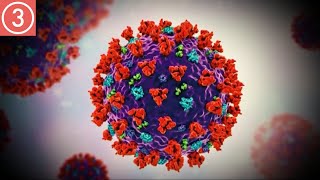 First case of Omicron variant of COVID-19 detected in the US in California