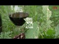 Tuvia Tenenbom  Trailer | Wine with Adam