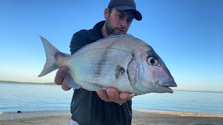 How to Catch Big Porgy (Scup) 5/27/23 Northshore Long Island
