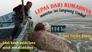 This 134 kg monster grouper is truly my blessing today👍👍👍