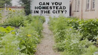 Can You Homestead In The City?  Our Take On Urban Homesteading