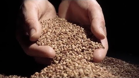 Female Hands Pours Buckwheat Grain. Slow Motion | Stock Footage - Videohive