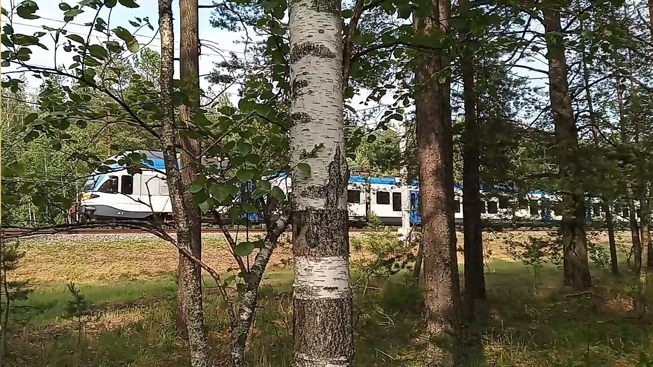 Гомель минск на машине