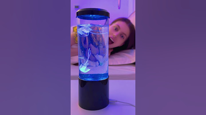 the WEIRDEST Lamps in the world😳
