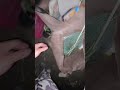 吃鱉了#鹽巴嚴選