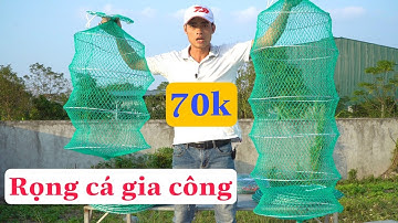 rọng cá gia công