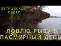 Ловлю рыбу в пасмурный день! Озеро Петровское. Fishing on a cloudy day. Lake Petrovskoye