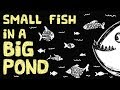 Transitioning from High School to College: Understanding the Big Fish Little Pond Effect