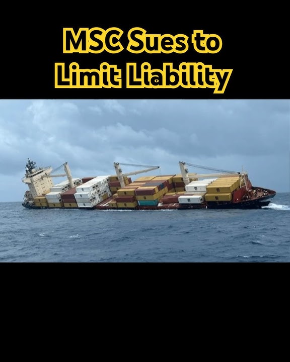 MSC Sues to Limit Liability to $14 Million for Loss of MSC Elsa 3 off India #msc  #shippingnews