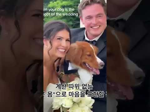 명견 주례사