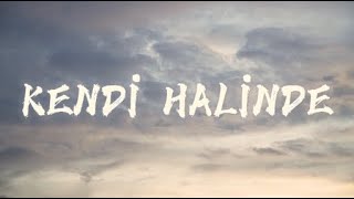 Kendi̇ Hali̇nde - Mert Savaş