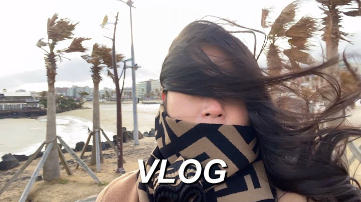 VLOGㅣ바람의 섬 제주도 2박3일 브이로그ㅣ제주 동쪽 여행, 따라비오름, 으뜨미식당, 안도르, 목화휴게소ㅣ찐 제주도민 맛집, 블랙번, 카페코삿, 참치코지, 제주미담