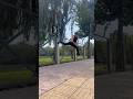 STREET FIGHT, SELF DEFENSE 0080 #india #training #kungfu #fight #tutorial #shorts #martialarts #usa