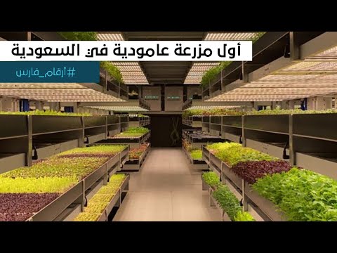 لدينا مزرعة عمودية