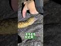 ウツボの天ぷらってどうなん?#shorts #釣り