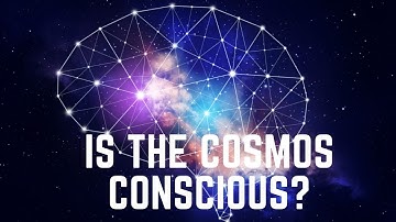 The Universe and the Brain: Exploring the Fascinating Similarities