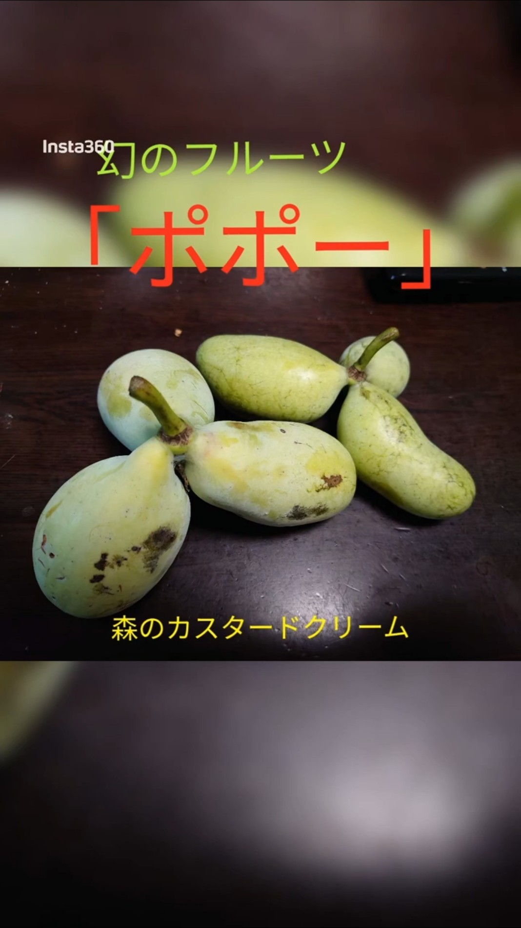 幻のフルーツ「ポポー」がなつたよ！ - YouTube