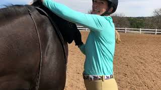 The Hacked Horse and CWD-Colorado - Saddle Fitting 101