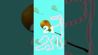 Countdown Timer 40 seconds  #timerbomb #countdown #timerbomb