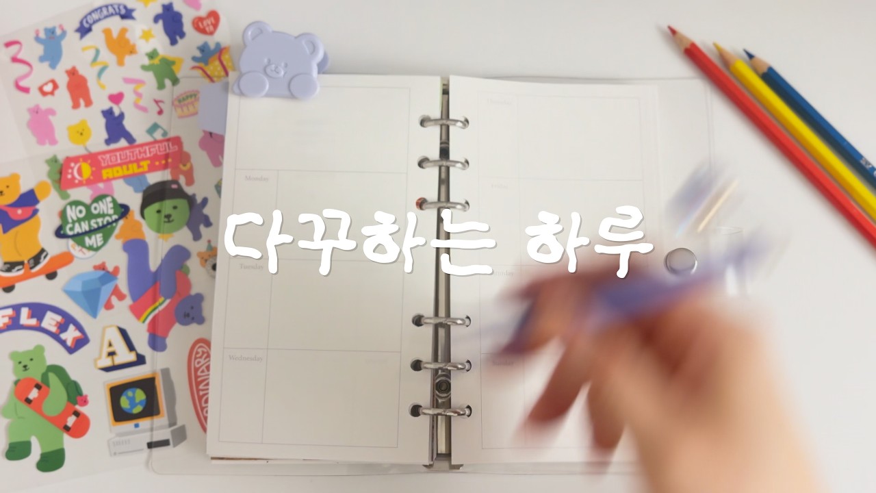 다이소 다이어리·쿠팡 스티커 하울 후 조용한 다꾸