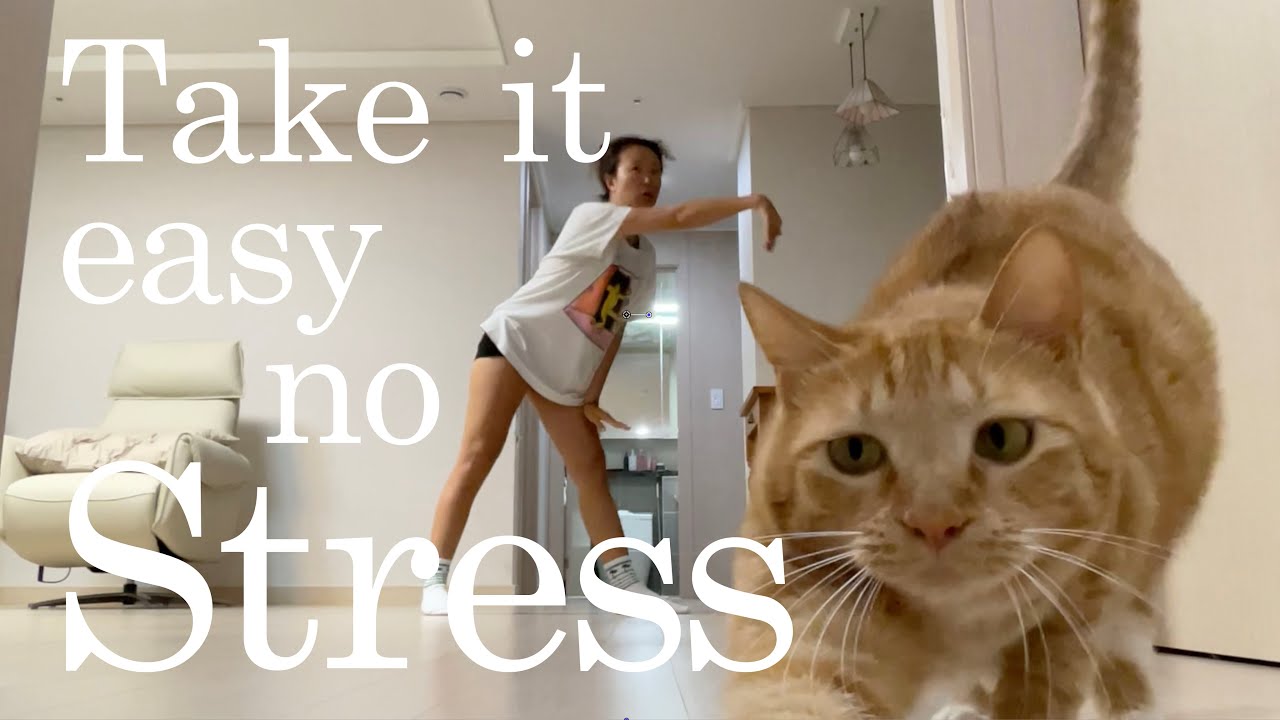 러브란 LOVE RAN | 청하 CHUNG HA - STRESS 안무 만드는 과정