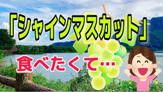 「シャインマスカット」が食べたくて…