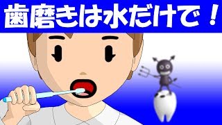 ミニマリストの知恵 歯磨きは水だけでOK 歯の異常に気がつきやすいです