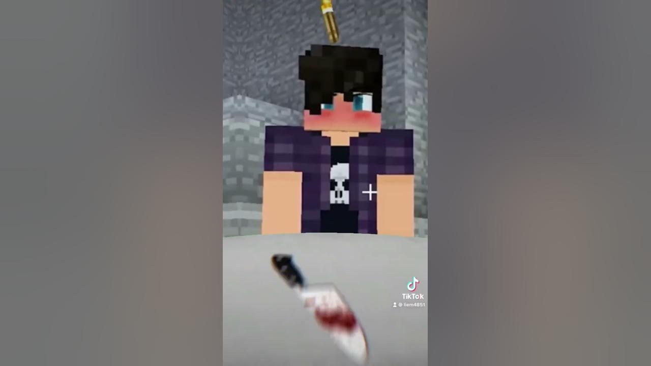 🔪🩸💙Ein Killed Aphmau💜 🔪🩸💙Ein Killed Aphmau💜