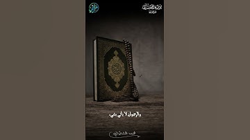 كثرة تلاوة القرآن ترضي الله عنك _الشيخ الشنقيطي