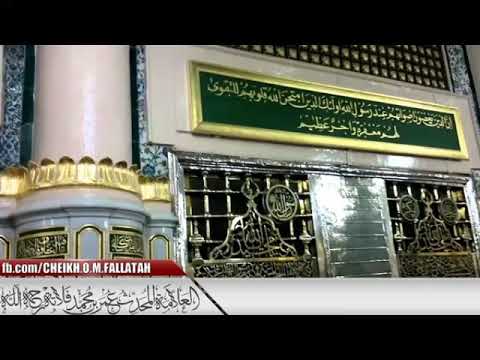 ينبغي للمرء أن يصاحب الأخيار المحدث عمر بن محمد فلاتة رحمه الله