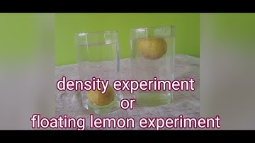 floating lemon experiment| experiment of density using lemon|science experiment |density experiment