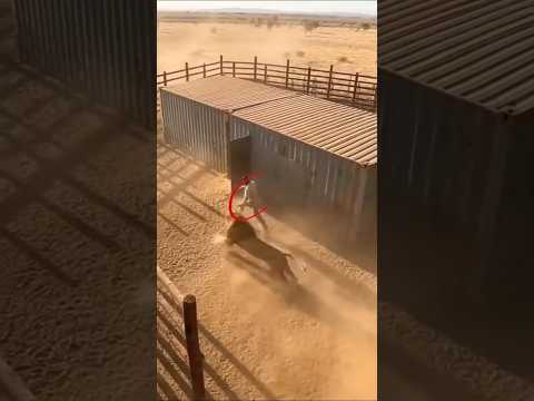 حين ضاقت الأرض واشتد الخطر تدخل لطف الله فصمت الخوف Shorts 