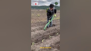 Seed Sowing & Fertilizing Hand Tool