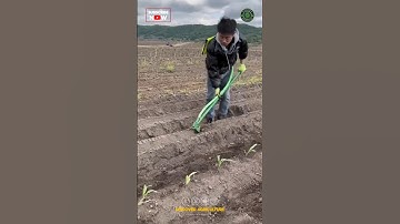 Seed Sowing & Fertilizing Hand Tool