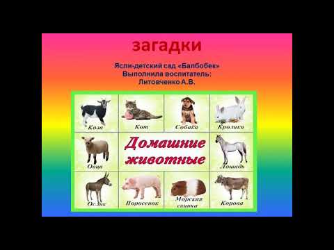 Дикие и домашние животные стр. 72 - 75 Окружающий мир 2 класс 1 часть 75th