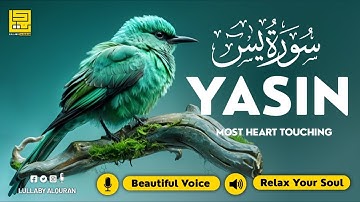 Surah Yasin (Yaseen) سورة يس ✦ Beautiful voice heart touching ✦ Soothing Quran For Sleep ✦ Alaa Aqel