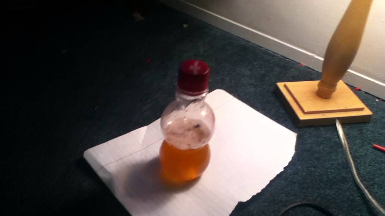 raccoon trapping bait recipe YouTube