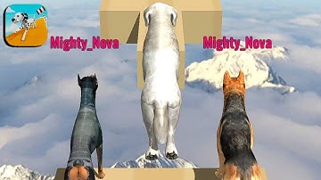 Dog 🐕🐕 Run 3D - Fun Race Gameplay Walkthrough (Android, IOS) Level - 6