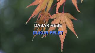 Download Lagu DASARESE WONG PITOE Indonesian Malay Karaoke MP3