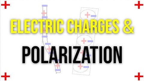Electric Charges and Polarization