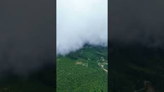 Veri̇n Bana Bi̇r Kalem