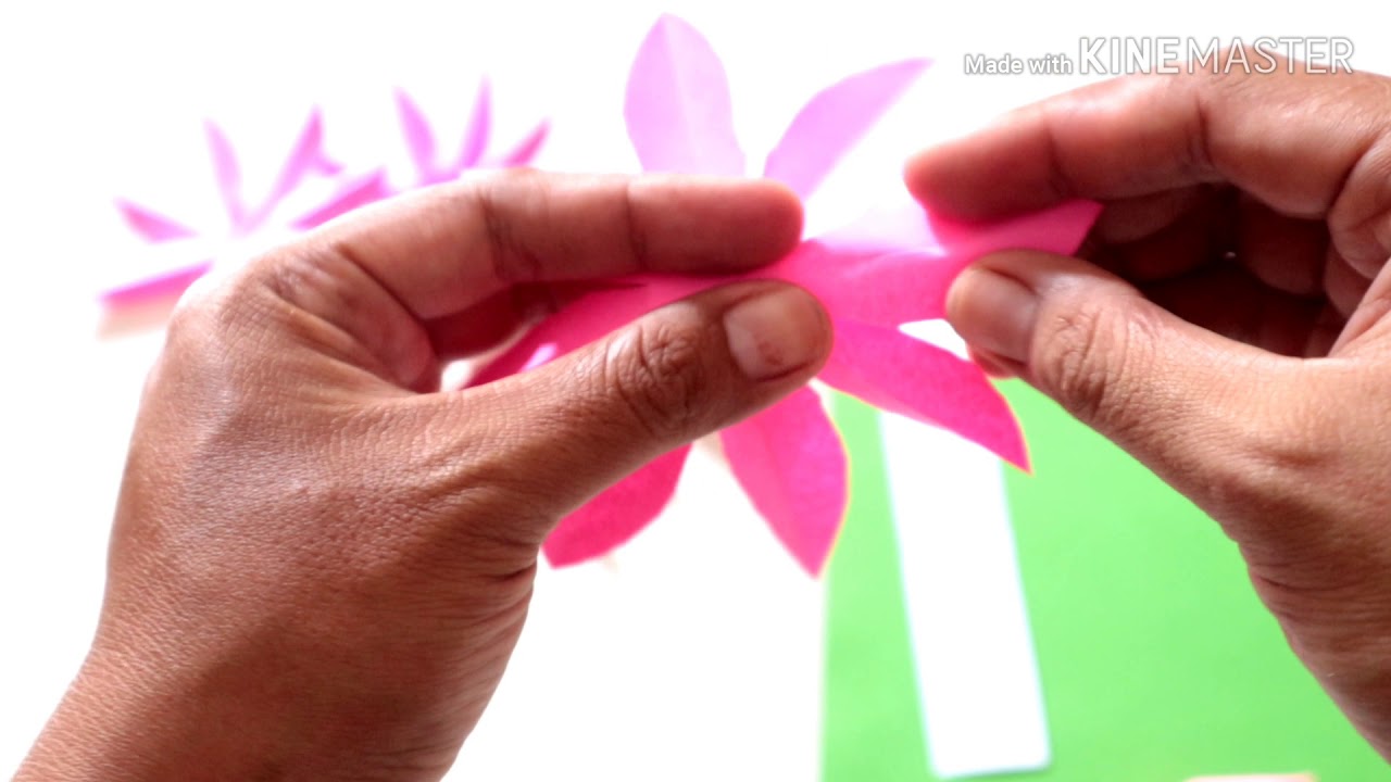  Origami  Bunga  Teratai  YouTube